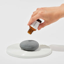 Load image into Gallery viewer, Diffuser Oil: sekishin (metal) 20ml